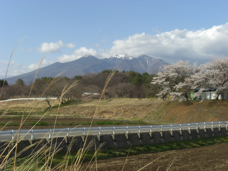 新着 蓼科高原 所有権のキレイな別荘地 八ヶ岳 蓼科 北杜市の情報