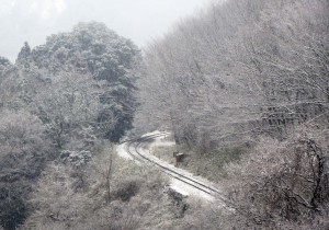 渡良瀬渓谷雪景色　2015 0130 06