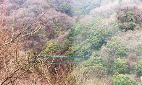 箱根登山鉄道 08