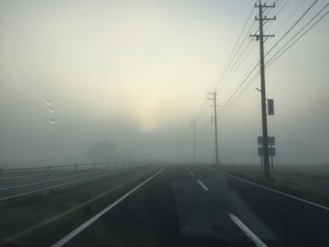 １１月霧の朝20151101