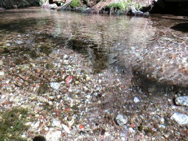 アトピーが消えた 八ヶ岳の伏流水で身体も心も清らか 名水百選 大滝湧水 八ヶ岳 蓼科 北杜市の情報