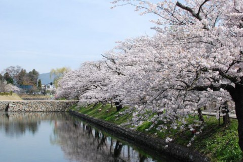 松本城の堀