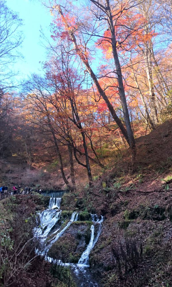 軽井沢紅葉散策 ２ 白糸の滝 冬に向かう浅間高原 嬬恋 北軽井沢逍遥田舎暮らし物件 中古別荘や古民家のマル秘不動産情報