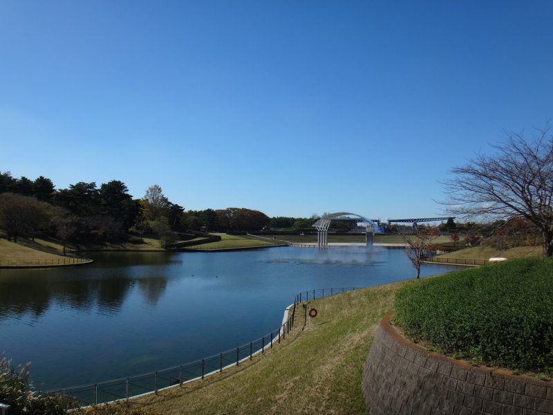 ひたちなか市 国営ひたち海浜公園へコキアとコスモスを見に行ってきました 鹿嶋 鉾田エリアの情報