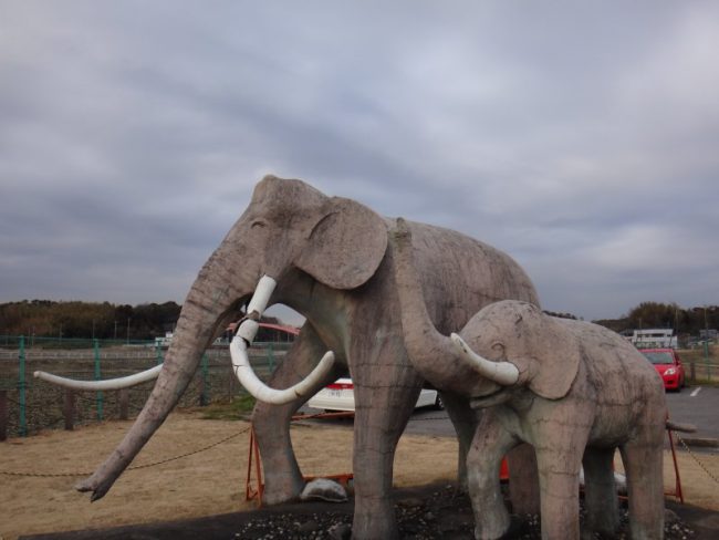 印西市 双子公園にバンクシー 印旛沼自転車道休憩所 マンモス公園 千葉 館山 南房総の情報