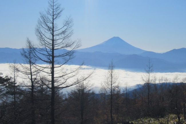 登山 甘利山 千頭星山 八ヶ岳 蓼科 北杜市の情報