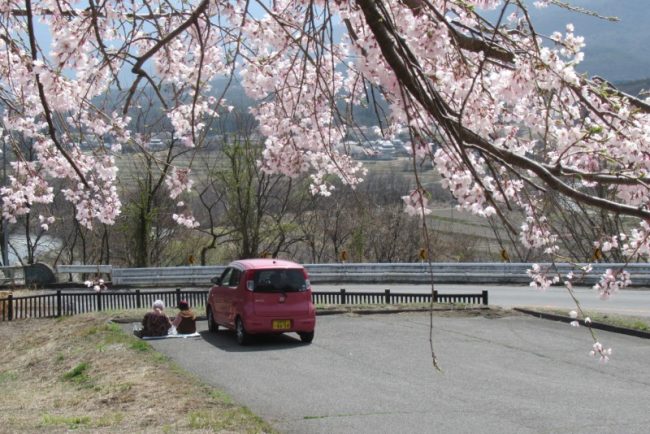 北杜市西部の桜を巡ったながぁ い一日 八ヶ岳 蓼科 北杜市の情報