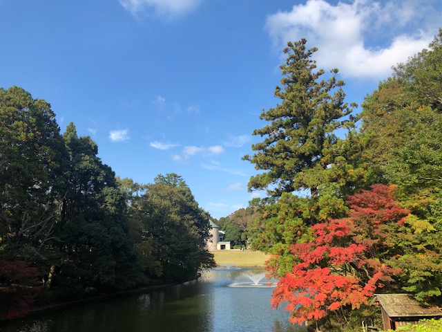 佐倉市 千葉県でも紅葉始まってます Dic川村記念美術館 自然散策路 千葉 館山 南房総の情報田舎暮らし物件 中古別荘や古民家のマル秘不動産情報