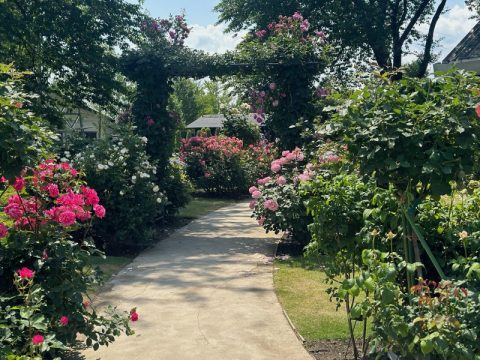 中之条ガーデンズの園内