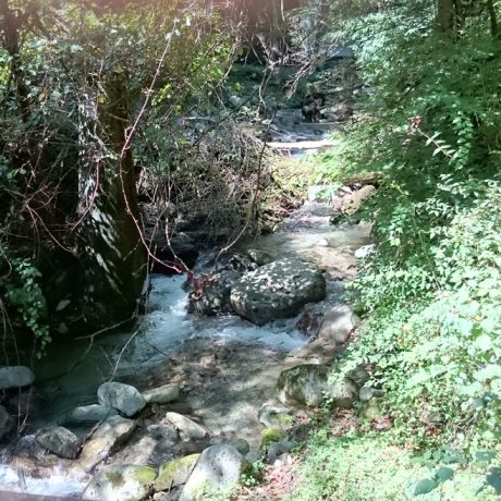山梨でハイキングに行くならここ！【西沢渓谷】前編