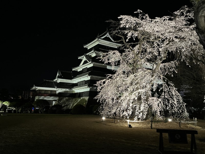 松本城