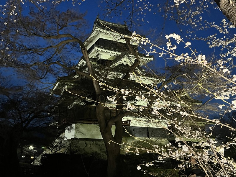 松本城