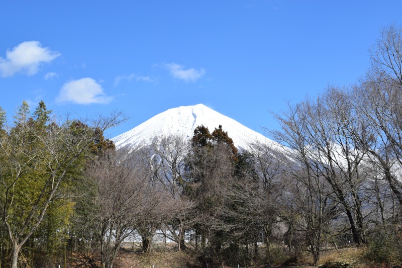 富士山