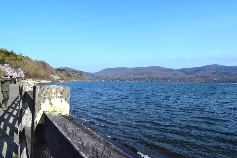 山中湖湖畔
