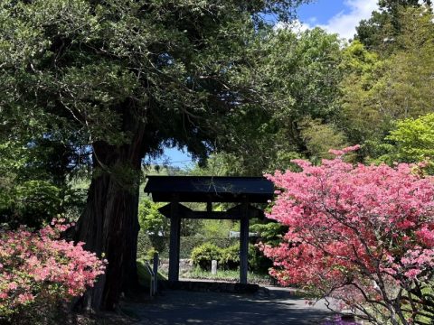 赤城南麓にある群馬最強パワースポット！　三夜沢【赤城神社】でパワーをいただく日