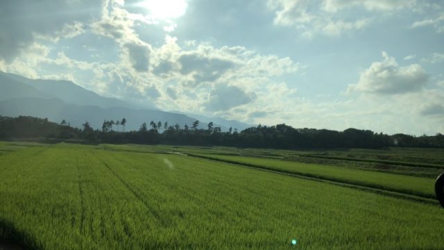 田舎の夏