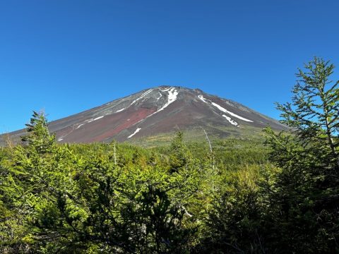 【富士五湖周辺】河口湖周辺の別荘地の食料品日用品などの買い物について