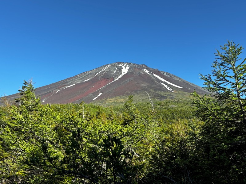 富士山別荘地