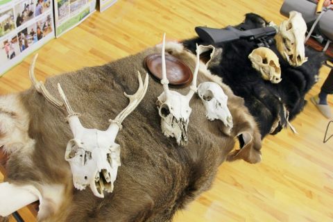 森の入り口で、暮らしを見つめ直す｜安曇野「YAU」で学ぶ狩猟と野営