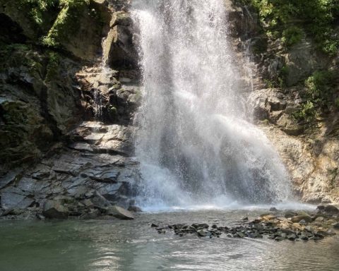 【八ヶ岳南麓周辺】夏におすすめのプチトレッキングコース3選！