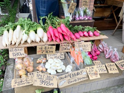 鎌倉・坂ノ下に暮らすように通いたい八百屋さん｜ハレトキ 晴レ時々野菜