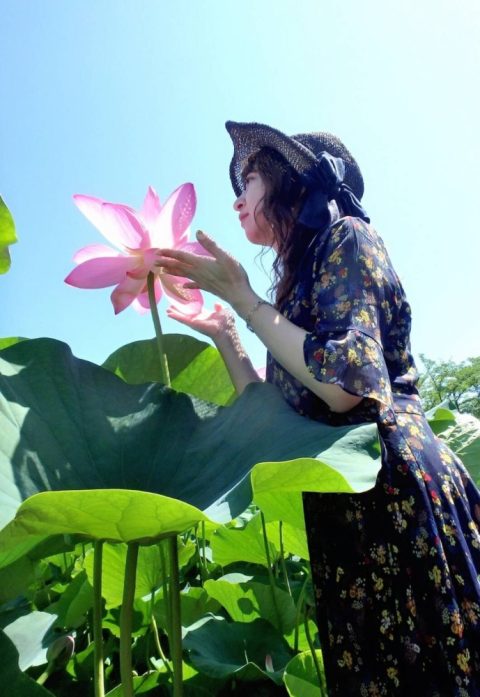 埼玉県行田市『古代蓮の里』で見られる蓮の花はため息が出てしまうくらい神秘的で美しかった