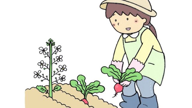 家庭菜園