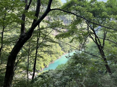 【静岡県 川根本町】エメラルドグリーンの秘境！寸又峡へ行ってきた