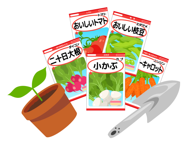 野菜の種