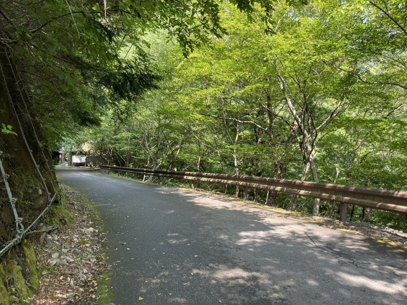 緩い上り坂