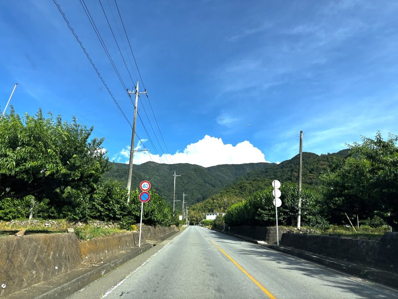 精進ブルーライン