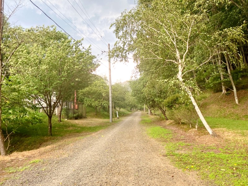 旧国鉄篠ノ井線廃線敷遊歩道