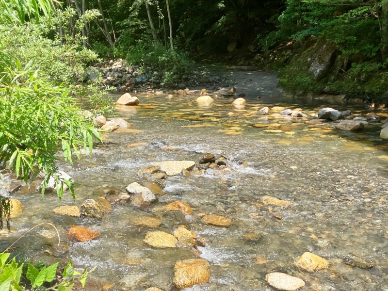 烏川渓谷緑地の水辺3