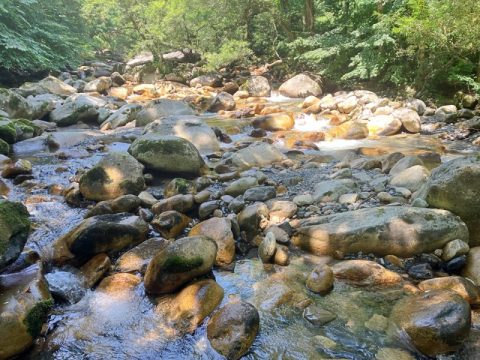 「こんな場所で暮らせたら」移住者が惹かれる、安曇野の森と渓谷
