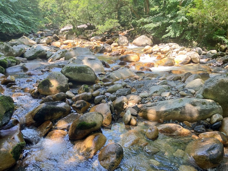 烏川渓谷緑地の水辺4