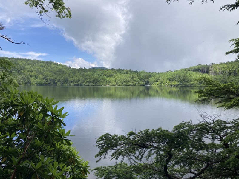 北八ヶ岳】日本で最も高い湖、白駒池で清涼トレッキング！ | 移住