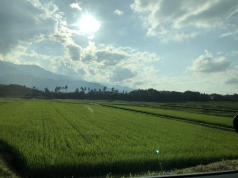 【田舎暮らし】いなかの夏の魅力はたくさん！