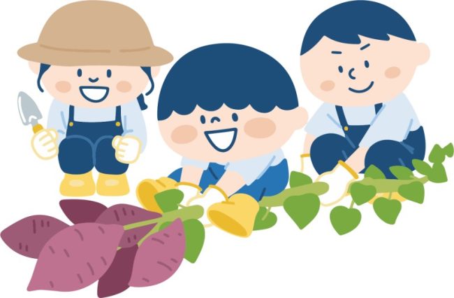 芋掘り
