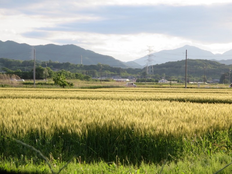 田舎の風景