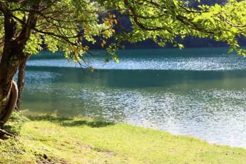 あまりの暑さに避暑地へ逃亡！夏の『群馬県片品村』へワンデートリップ