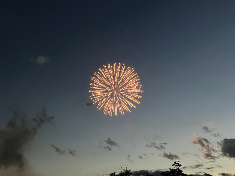 大輪の花