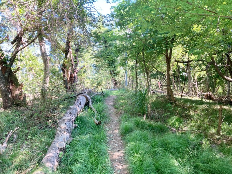 光城山から長峰山へ