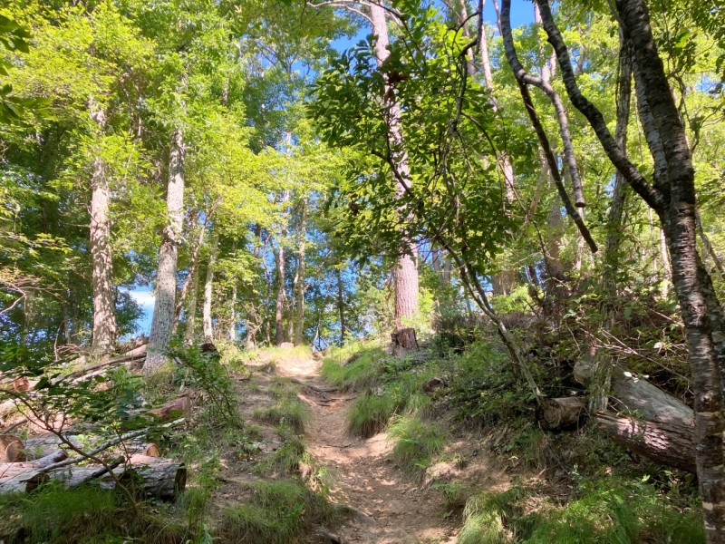 長峰山への道