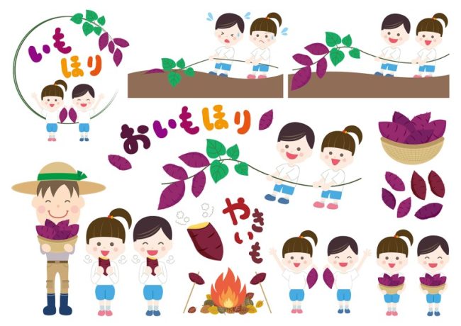 芋掘り