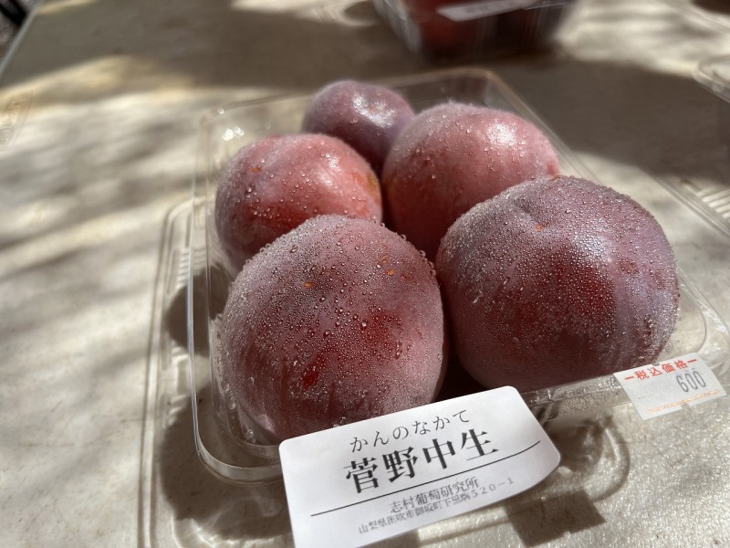 スモモも売ってた