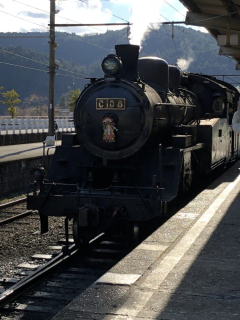 【静岡】日本でここだけ！アプト式列車が乗れる鉄道「大井川鐵道」