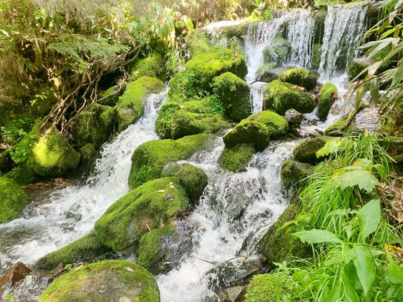 上高地のステキな景色