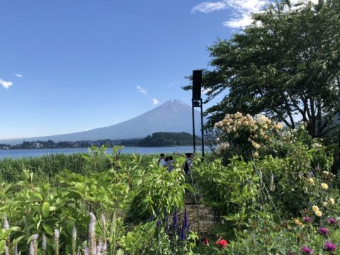 【山梨】四季折々の花が見れる施設!どの季節でも楽しい!「富士大石ハナテラス(大石公園)」