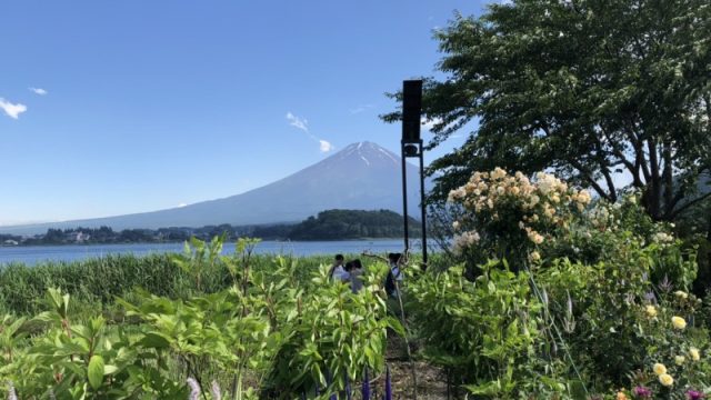 富士山