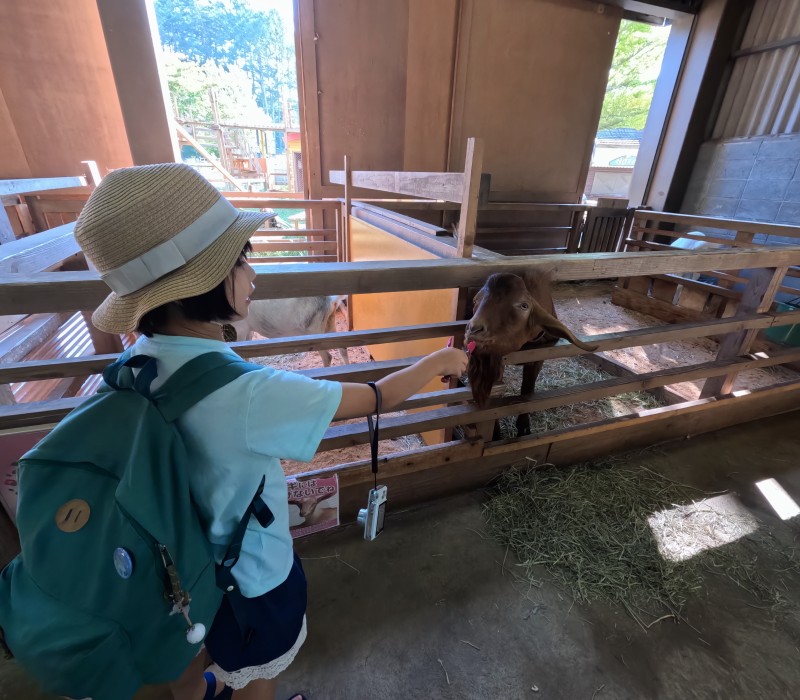 チロルの森動物